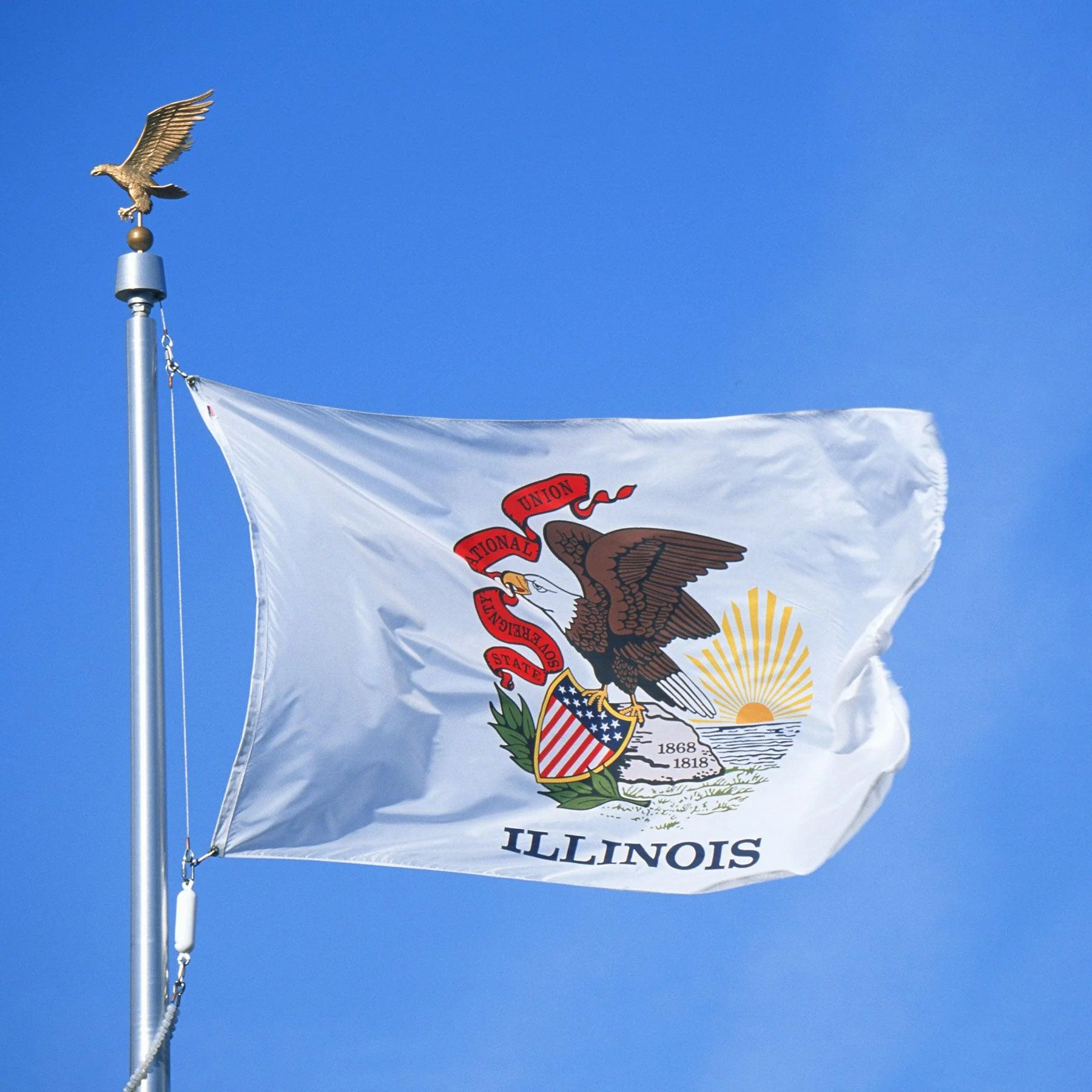 Illinois State Flag Made in USA – Heavy Duty Nylon - Image 3
